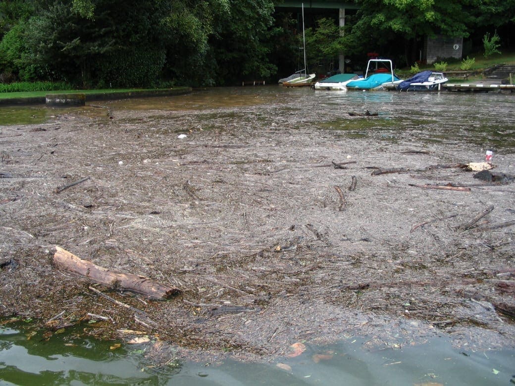Springbrook Creek Mouth storm event 8-22-2004