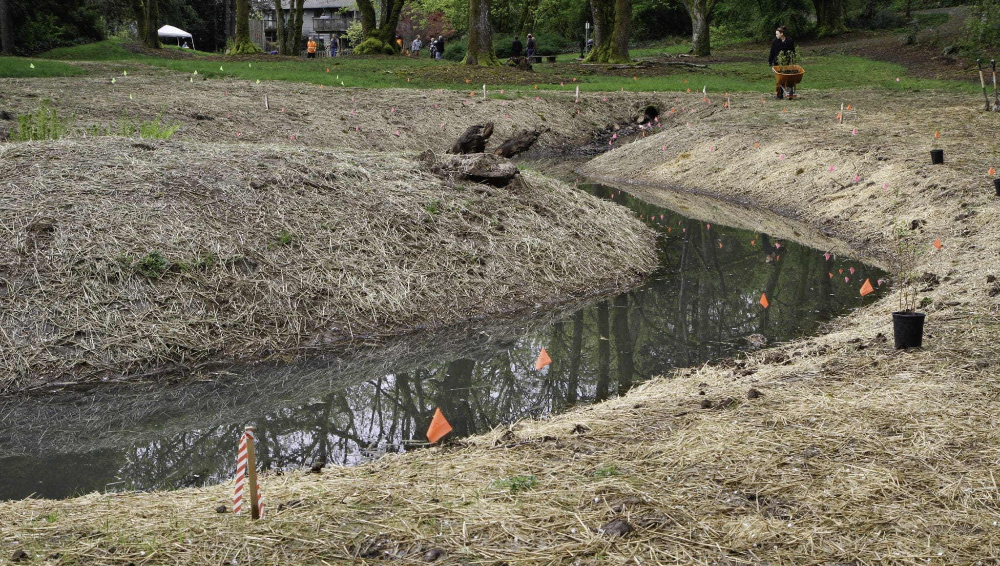 Lake Oswego Bioswales in the News