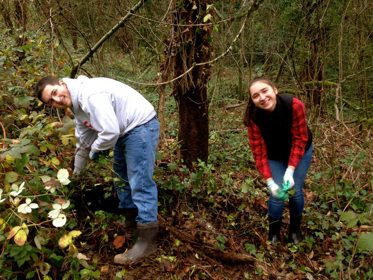 2015 Springbrook Creek Invasive Removal a Success!