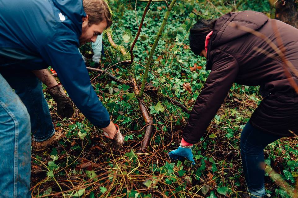 Work Party volunteers removing invasive plants Join our Earth Day work party in April