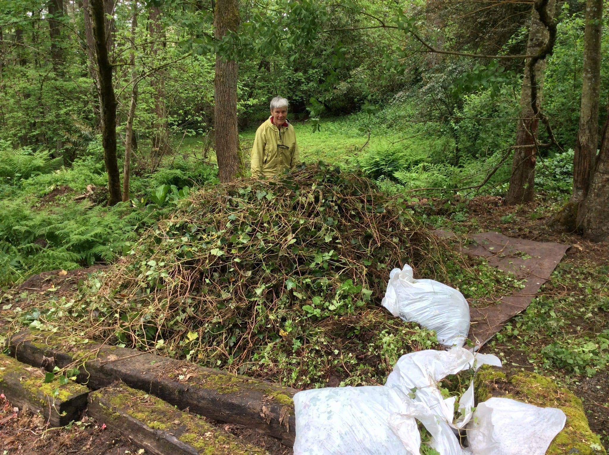 Successful Boutwell Creek Work Party