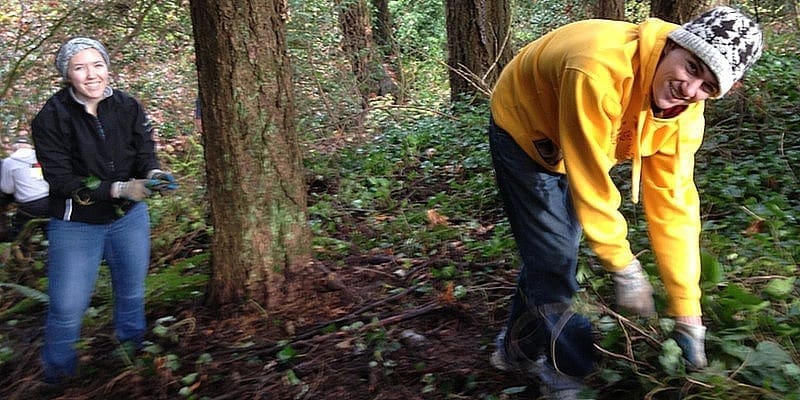 Join the OLWC Springbrook Work Party Dec 2!