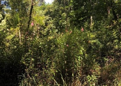 Lessons on Resilience