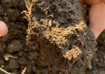 Soil Aggregates – Where Texture and Organic Matter Meet