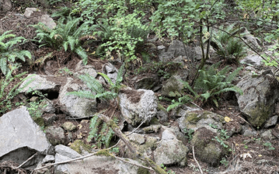 A Brief Geologic Journey Back in Time in Lake Oswego