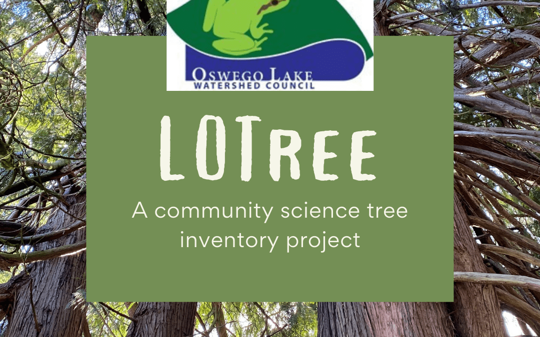 LO Tree Inventory