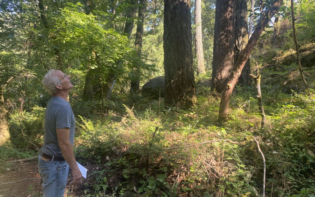 The urban forest: Our stake and stance