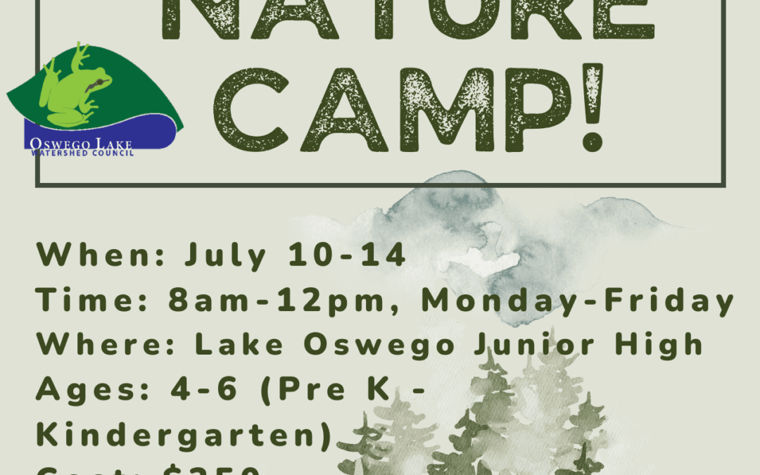 OLWC Summer Nature Camp