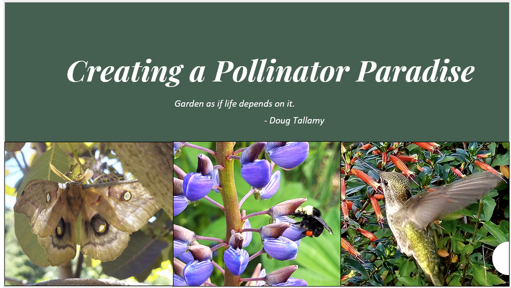 CLICK to open a .pdf of the presentation slides and notes