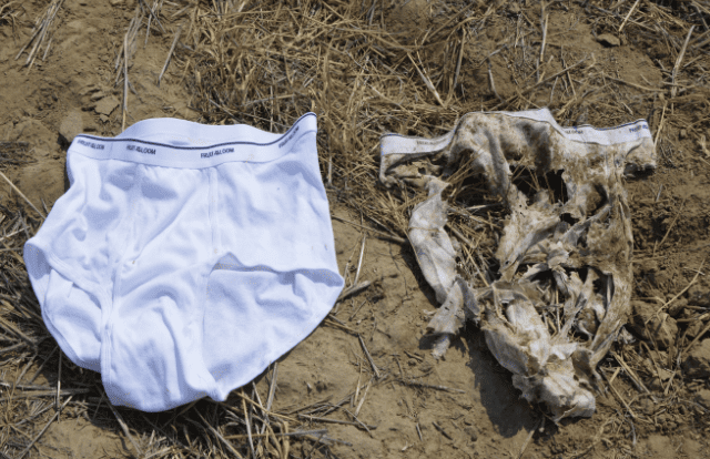 OLWC’s 2025 “Soil Your Undies” Challenge!