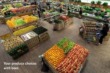 Food choices WITH pollinators