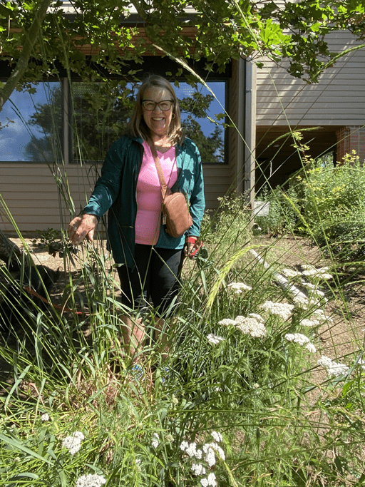 Library volunteer, Linda Gaudin, in the pollinator garden at the library with Yarrow and Tufted Hairgrass, potential sources of native seed for the seed library.