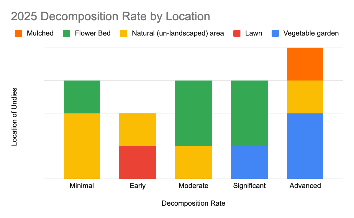 Decomposition Rates By Location