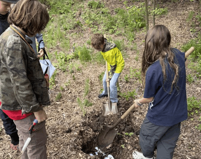 The Soil Your Undies Challenge!