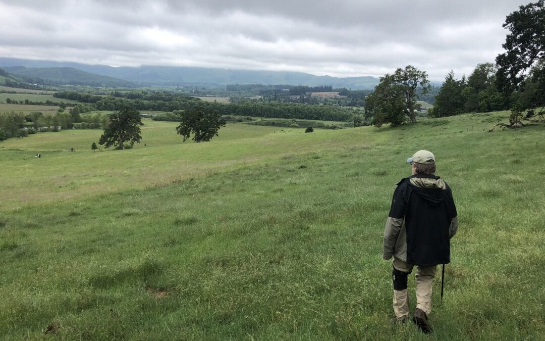 A Story of Oaks: Connecting with Trees Across Generations