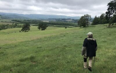 A Story of Oaks: Connecting with Trees Across Generations