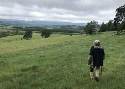 A Story of Oaks: Connecting with Trees Across Generations