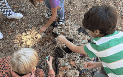 Hands-On Learning and Habitat Restoration: OLWC Engages Students This Fall