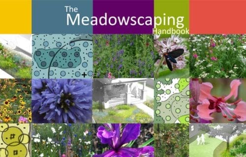 Resources for Residents