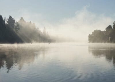 West Willamette Watershed (W3) Collaboration