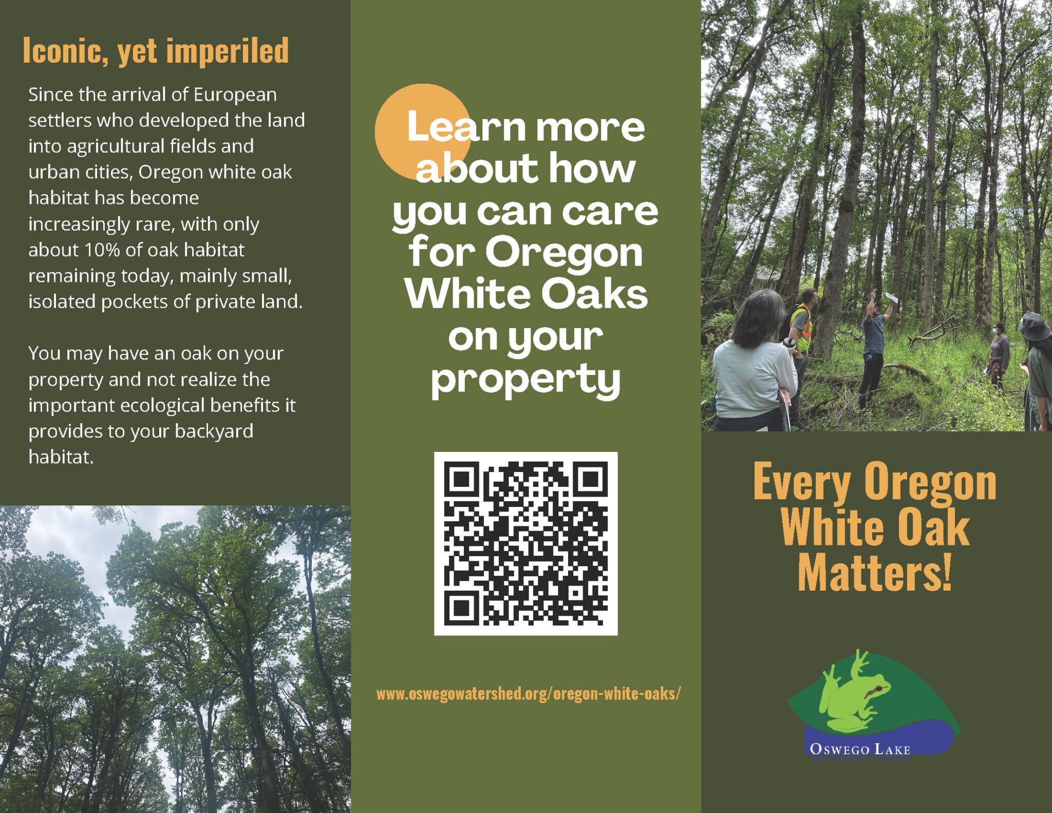 Oregon White Oak Brochure