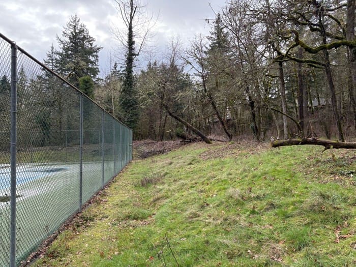 Both sides of the tennis court along canal on Woodside Circle HOA property.