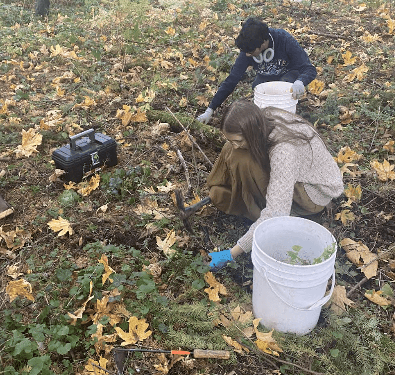 Youth Sustainability Collective stewarding restoration work
