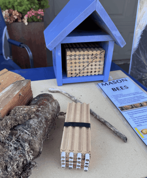 Mason Bee Supplies