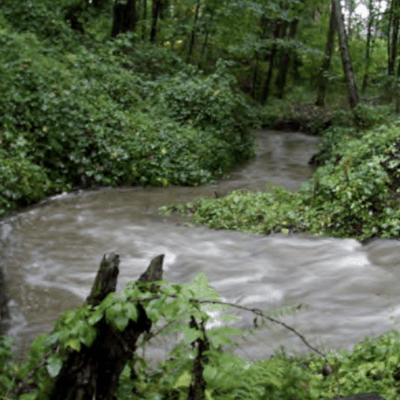 Watershed Management and Strategies