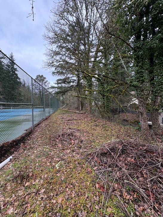 Both sides of the tennis court along canal on Woodside Circle HOA property.