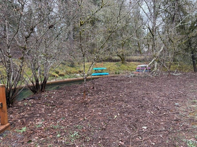 After ivy removal on the island