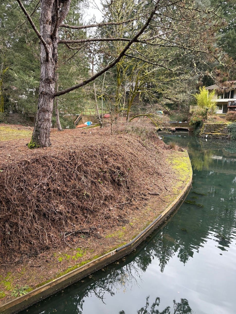 After: Canal, right side of the island