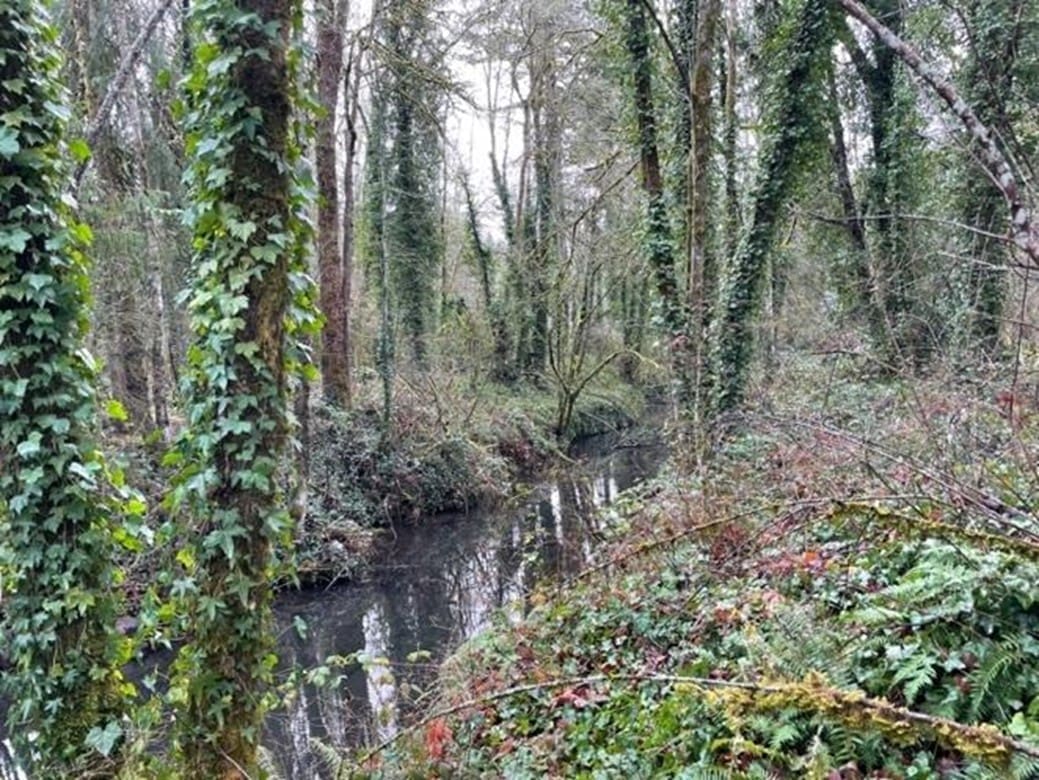 Before: Canal, right side of the island