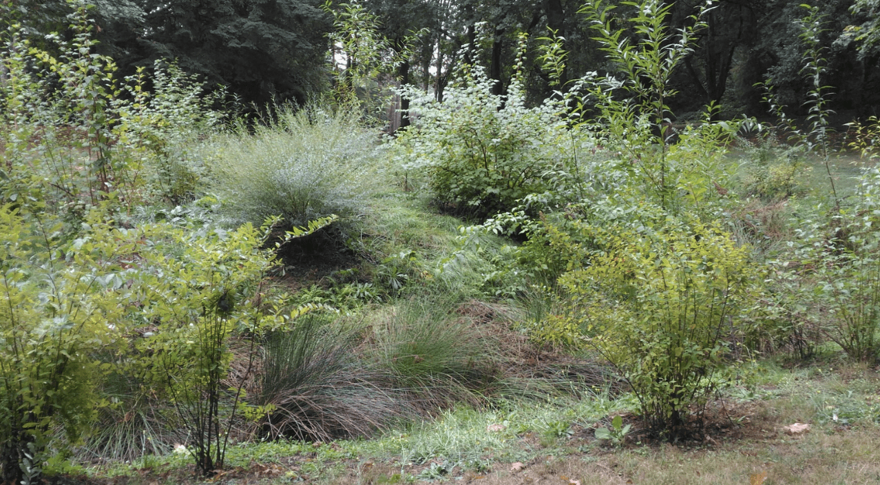 Mountain Park HOA restructured  channel