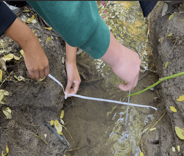 Students at Work: Progress at Pecan Creek