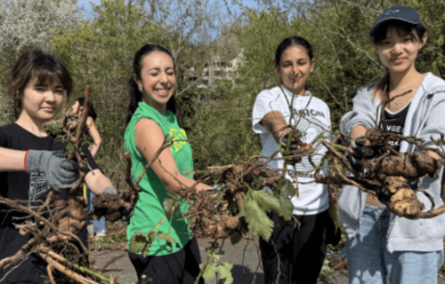 Students cleaning up their school campus